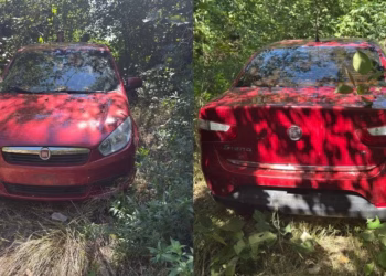 Crimen del chofer: así planearon el ataque