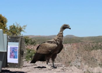 Charla sobre fibromialgia buscará mejorar la calidad de vida de pacientes en San Rafael