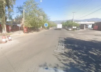 Manejaba con casi el triple del alcohol permitido en sangre y chocó con un árbol 