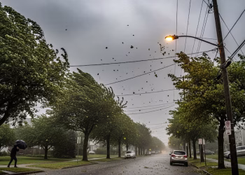 Anticipan la llegada de un Súper El Niño: qué significa y cómo impactará el fenómeno climático en Argentina