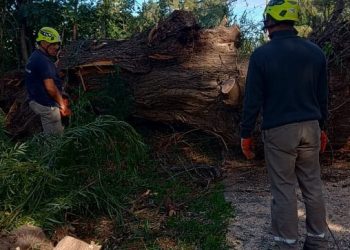 Supercelda en el Oasis Sur: Defensa Civil advierte sobre la violencia de los fenómenos climáticos y trabaja en los caminos anegados y reconexión de energía