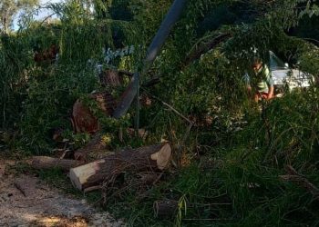 Supercelda en el Oasis Sur: Defensa Civil advierte sobre la violencia de los fenómenos climáticos y trabaja en los caminos anegados y reconexión de energía