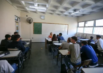 La DGE confirmó la continuidad de becas para carreras prioritarias: cuáles son y quiénes pueden inscribirse