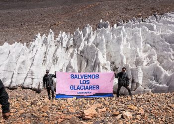 El INTA capacita en la elaboración de aceitunas en conserva