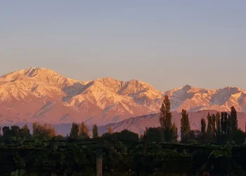 Mendoza ganó el “Mundial del vino” que organiza la revista especializada más importante del mundo