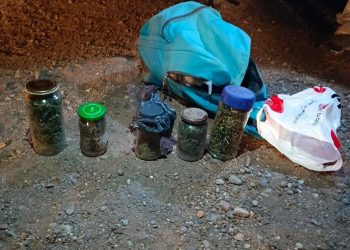Barack detectó marihuana en un control a un colectivo en San Rafael