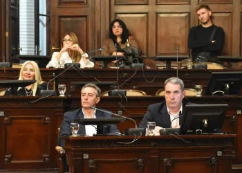 Media sanción a la reforma de la Constitución provincial para garantizar las autonomías municipales