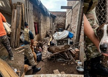 El fin de semana largo dejó una ocupación turística superior al 73 % y mejores resultados que el año pasado