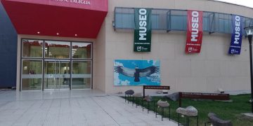 El Museo de Historia Natural celebra el Día del Animal con una jornada abierta a la comunidad