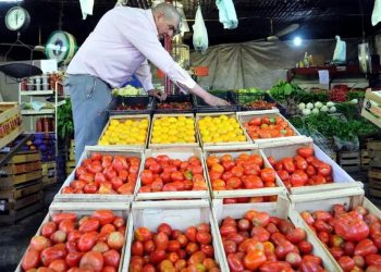 El INTA capacita en la elaboración de aceitunas en conserva