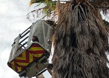 El INTA capacita en la elaboración de aceitunas en conserva