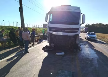 Trágico accidente en Brasil: una mujer argentina y su hijo de 19 años murieron tras chocar de frente contra un camión