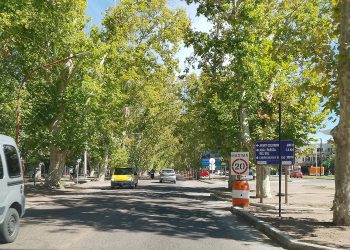 El Progreso Vial y el Arbolado de San Rafael