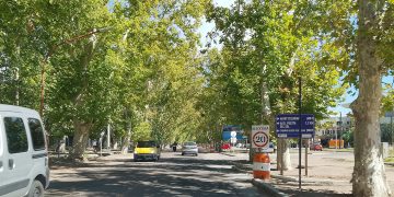 El Progreso Vial y el Arbolado de San Rafael