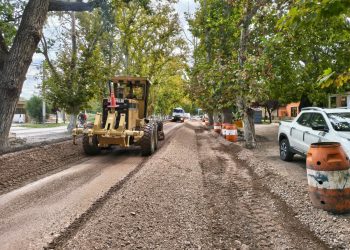 El INTA capacita en la elaboración de aceitunas en conserva