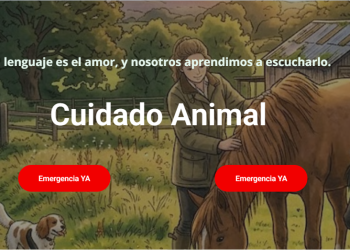 Crearon “info animal” una red para cuidar, ayudar y salvar vidas en San Rafael