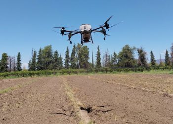 El fin de semana largo dejó una ocupación turística superior al 73 % y mejores resultados que el año pasado