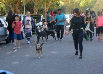 Vuelve la “Caninata”: el Parque de los Jóvenes será epicentro de una jornada solidaria con mascotas