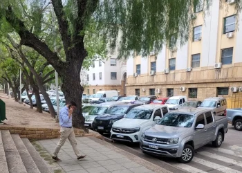 Trámites del Registro Civil y vacunación sin bajar del auto: en qué consiste la prueba piloto que lanzó el Gobierno