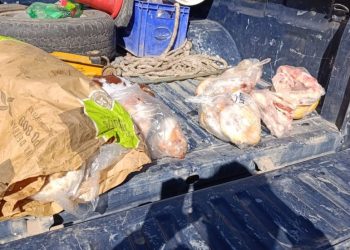 La Policía Rural decomisó más de 30 kilos de carne en mal estado en General Alvear