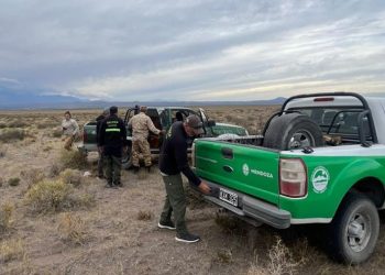 Operativo conjunto en San Rafael: detectan caza furtiva de piches y refuerzan controles sobre fauna y náutica