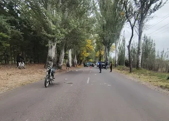 Accidente fatal en Tunuyán: un motociclista murió tras chocar contra un árbol