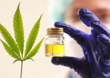 Investigadores chinos desarrollan una molécula a partir de cannabis medicinal