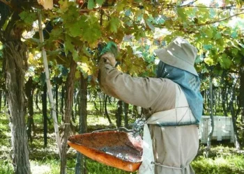 Mendoza refuerza con $2.000 millones el Fondo de la Transformación, en medio de las dudas por su futuro