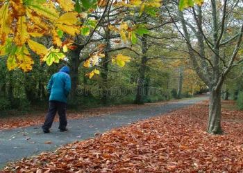 El tiempo en la provincia: Muy frío y con alerta por nevadas en cordillera 