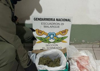 Gracias al can «Cielo»: incautan en El Sosneado marihuana oculta en una encomienda