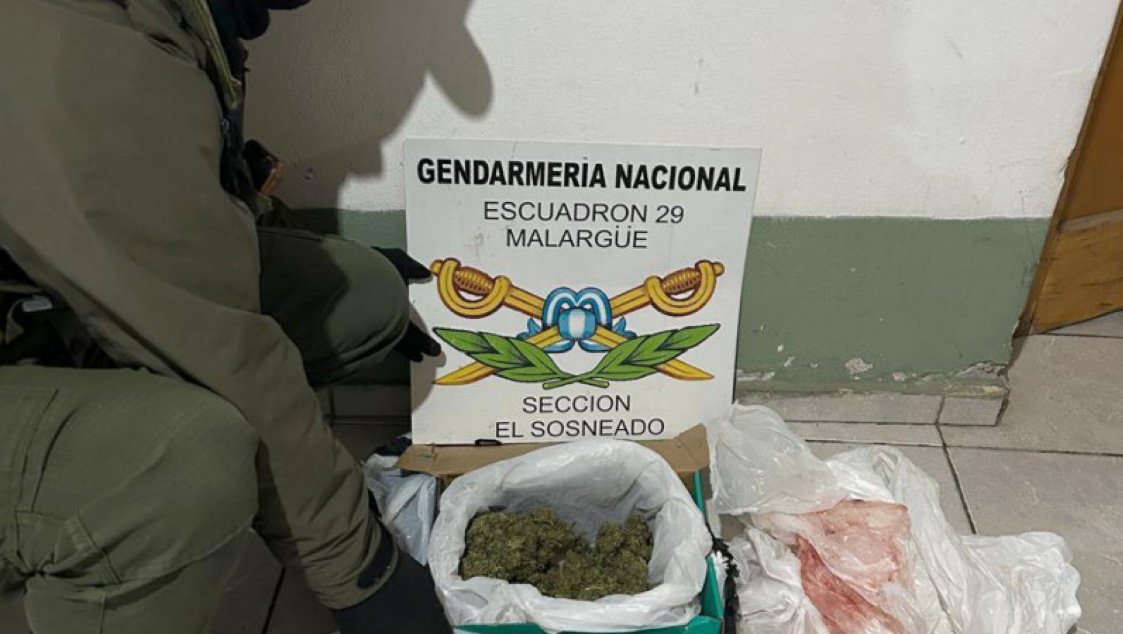 Gracias al can «Cielo»: incautan en El Sosneado marihuana oculta en una encomienda
