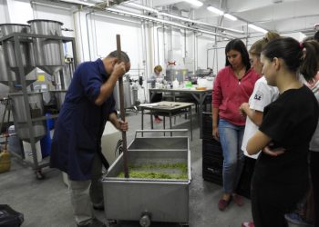 Estudiantes sanrafaelinos de Enología presentaron sus propios vinos: “Blanco Tropical” y “Malbec Clásico”