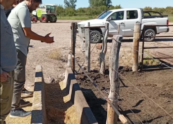 Ganadería en expansión: el INTA trabaja en elevar los “techos productivos” del sur mendocino