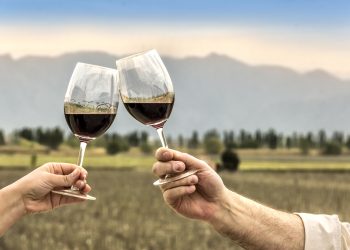 Varias firmas sanrafaelinas se suman a celebrar el “Día del Malbec”