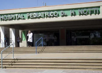 Un niño de 6 años sufrió lesiones de gravedad luego de que un árbol se le cayera encima