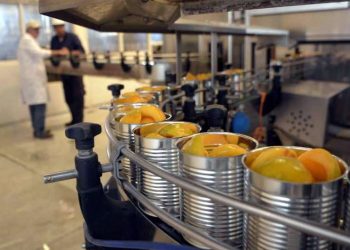 Proponen un régimen de «promoción industrial» para el Sur de Mendoza