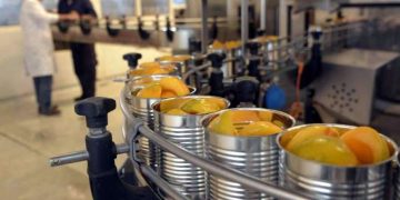 Proponen un régimen de «promoción industrial» para el Sur de Mendoza