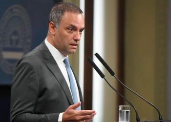 ¿Cuáles son los temas que mencionan a San Rafael en el informe de Adorni en Diputados?