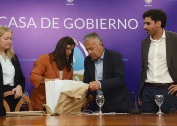 Un importante sector del empresariado quiere que el gobierno no avance con el Tren de Cercanías