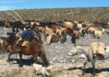En pleno 2026, pobladores del sur mendocino deben hacer “aduana” para moverse dentro de territorio argentino