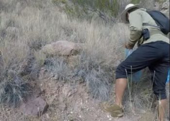 Cuando el río se calla, habla la conciencia: un guía impulsa la limpieza del cauce del Atuel