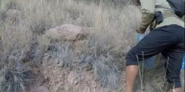 Cuando el río se calla, habla la conciencia: un guía impulsa la limpieza del cauce del Atuel