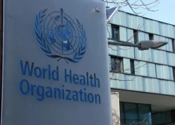 Para la OMS, no hay razones para que el brote de hantavirus se convierta en una gran epidemia