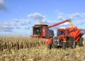 Caputo anunció récord histórico en la actual campaña de cosecha del agro