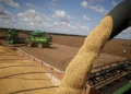 Aseguran que la baja de retenciones trae “alivio a los márgenes agrícolas»
