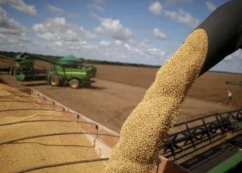 Aseguran que la baja de retenciones trae “alivio a los márgenes agrícolas»