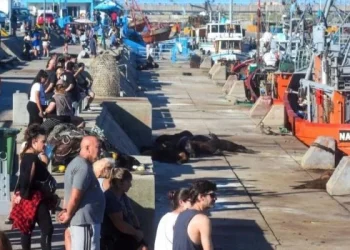 El turismo por el 25 de Mayo movilizó a más de 1,4 millones de personas que gastaron $340.000 millones