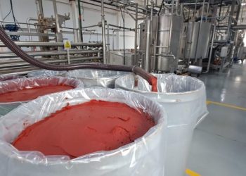 La llegada de pasta de tomate chilena golpea a la producción local y deja cosechas perdidas