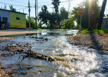 El oficialismo busca que vecinos denuncien infracciones ambientales con fotos y videos