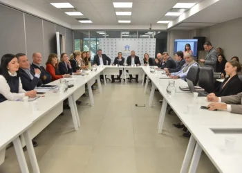 El Senado de Mendoza dio luz verde a la reforma constitucional y resta su aprobación en el recinto